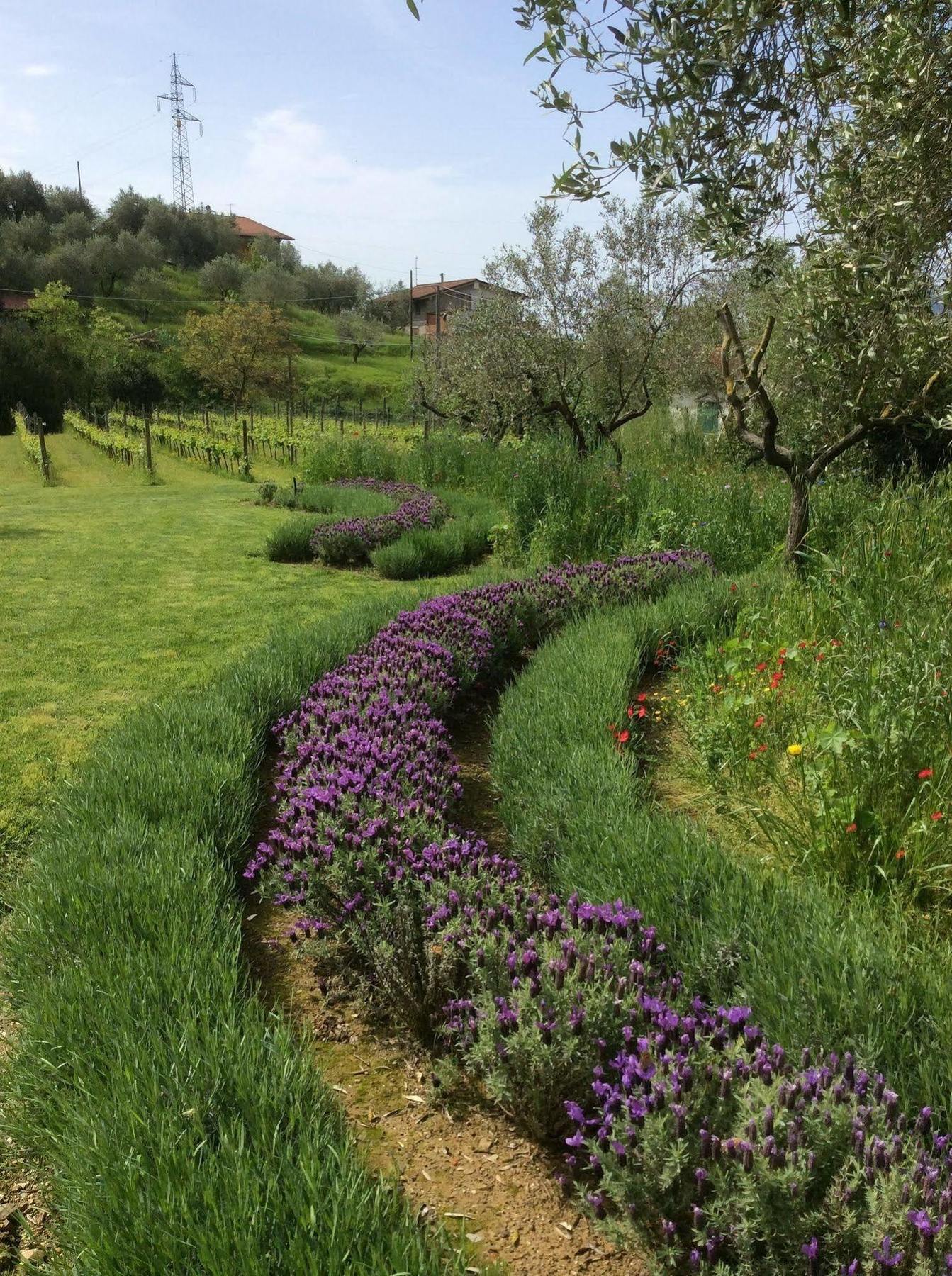 Pensjonat La Valle Castelnuovo Magra Zewnętrze zdjęcie